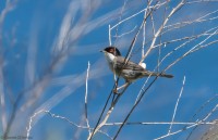 Parco Salinella di Marsala